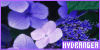 100x50 code