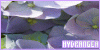 100x50 code