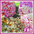 50x50 code