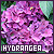 50x50 code