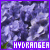 50x50 code
