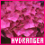 50x50 code