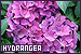 75x50 code