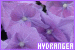 75x50 code