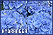 75x50 code