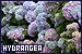 75x50 code