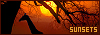 100x35 code