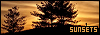 100x35 code