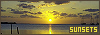 100x35 code