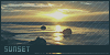 100x50 code
