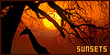100x50 code
