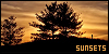 100x50 code