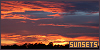 100x50 code