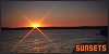 100x50 code