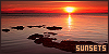 100x50 code