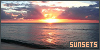 100x50 code