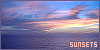 100x50 code