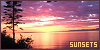 100x50 code