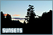 75x50 code