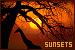 75x50 code