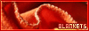 100x35 code