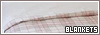 100x35 code