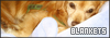 100x35 code