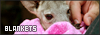 100x35 code