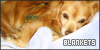 100x50 code