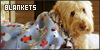 100x50 code