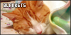 100x50 code
