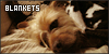 100x50 code