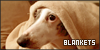 100x50 code