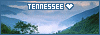 100x35 code