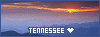 100x37 code