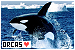 Orcas