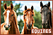 Equines