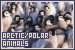 Arctic/Polar Animals