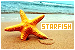 Starfish