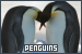 Penguins