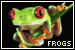 Frogs