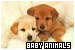 Baby Animals