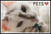Pets
