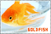 Goldfish