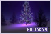 Holidays