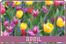 Months: April