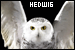 Harry Potter: Hedwig