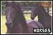 Horses