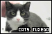 Cats: Tuxedo