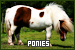 Ponies